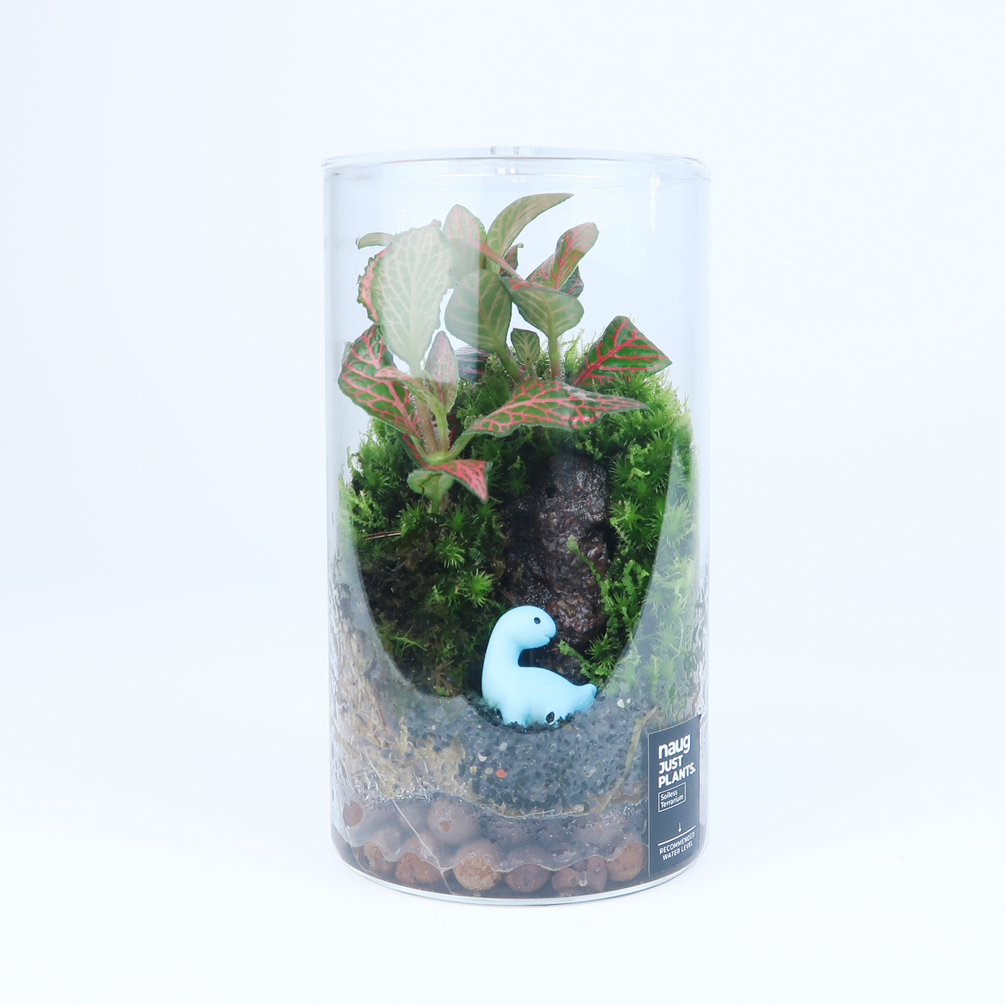 Basic Terrarium Series