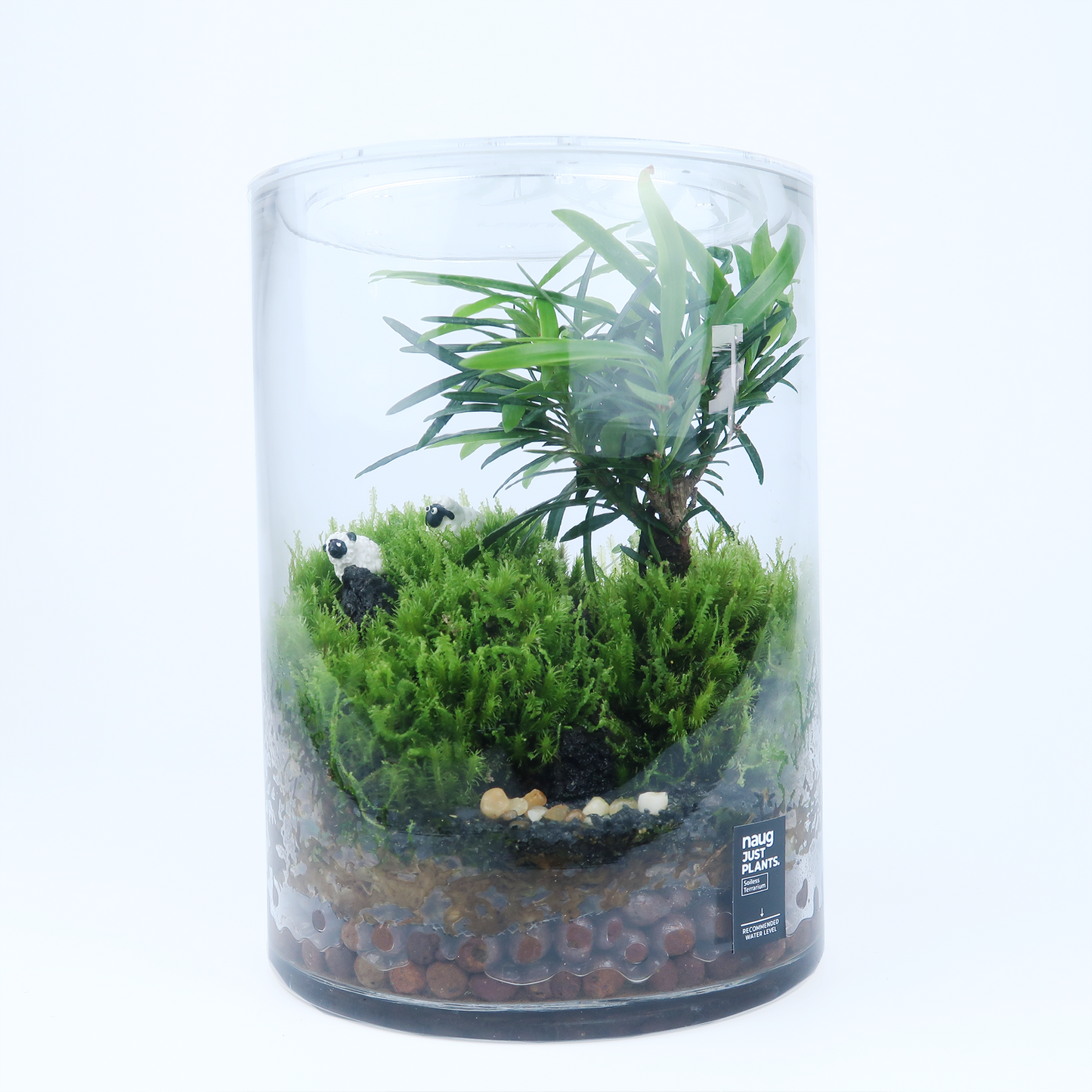 Bonsai Terrarium Series