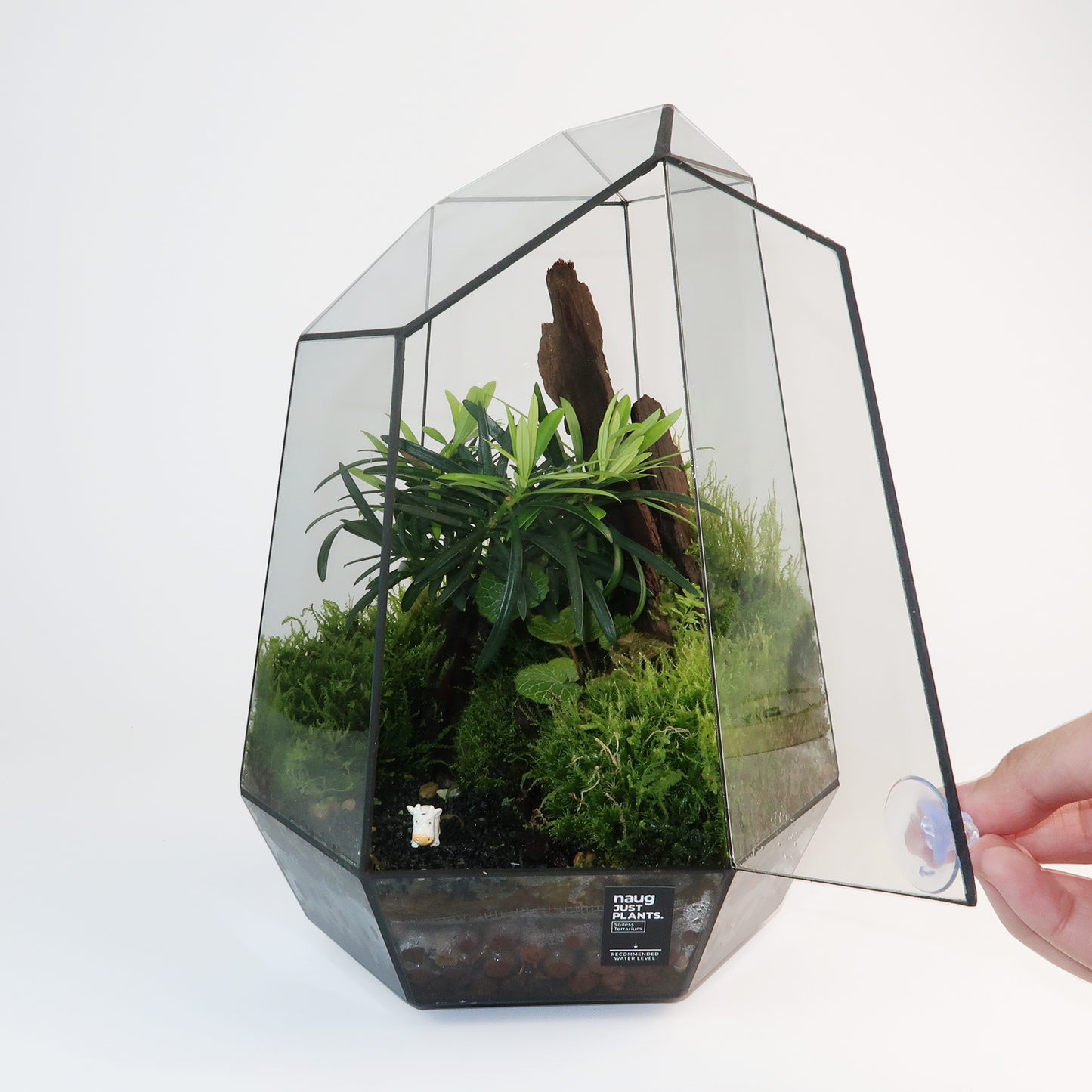 Geometric Terrarium Series