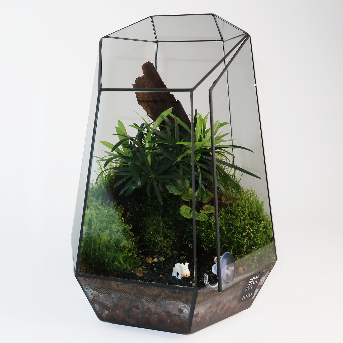 Geometric Terrarium Series