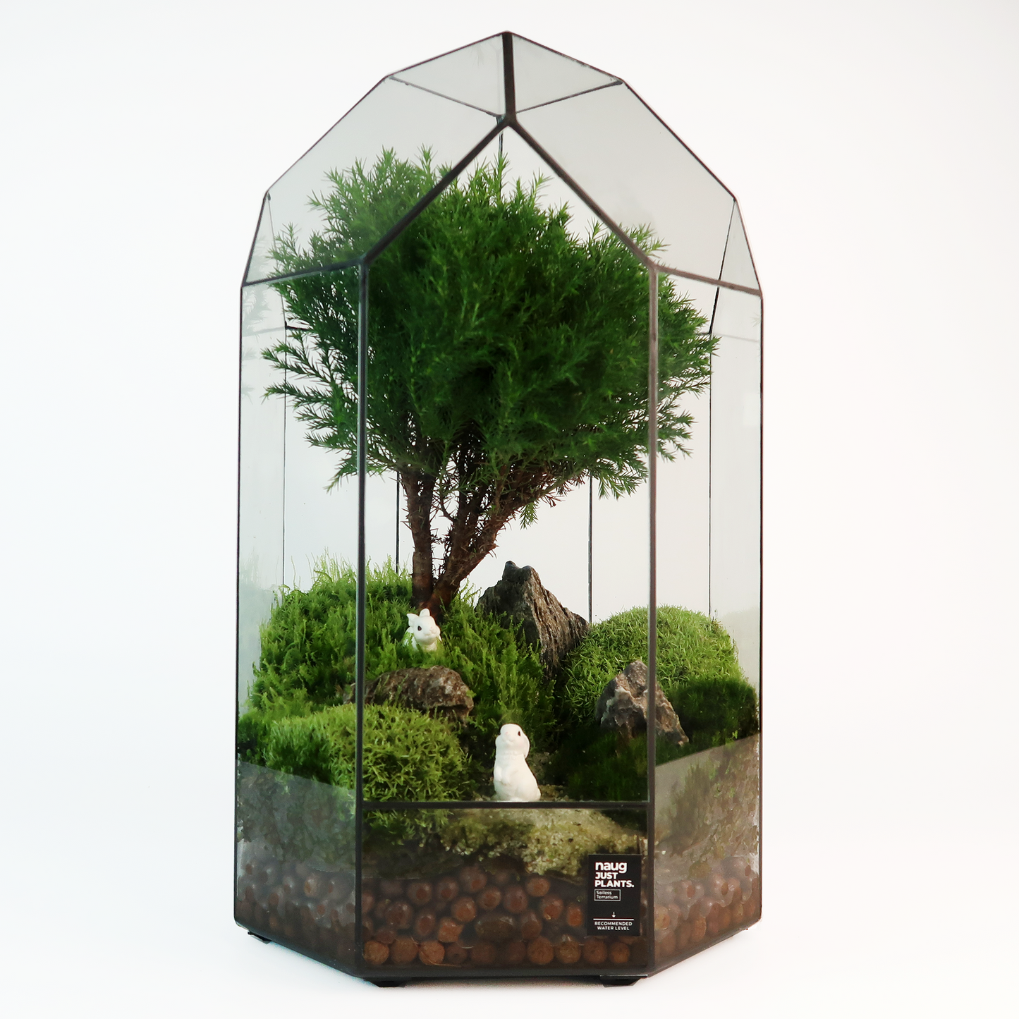 8 Side Terrarium Series