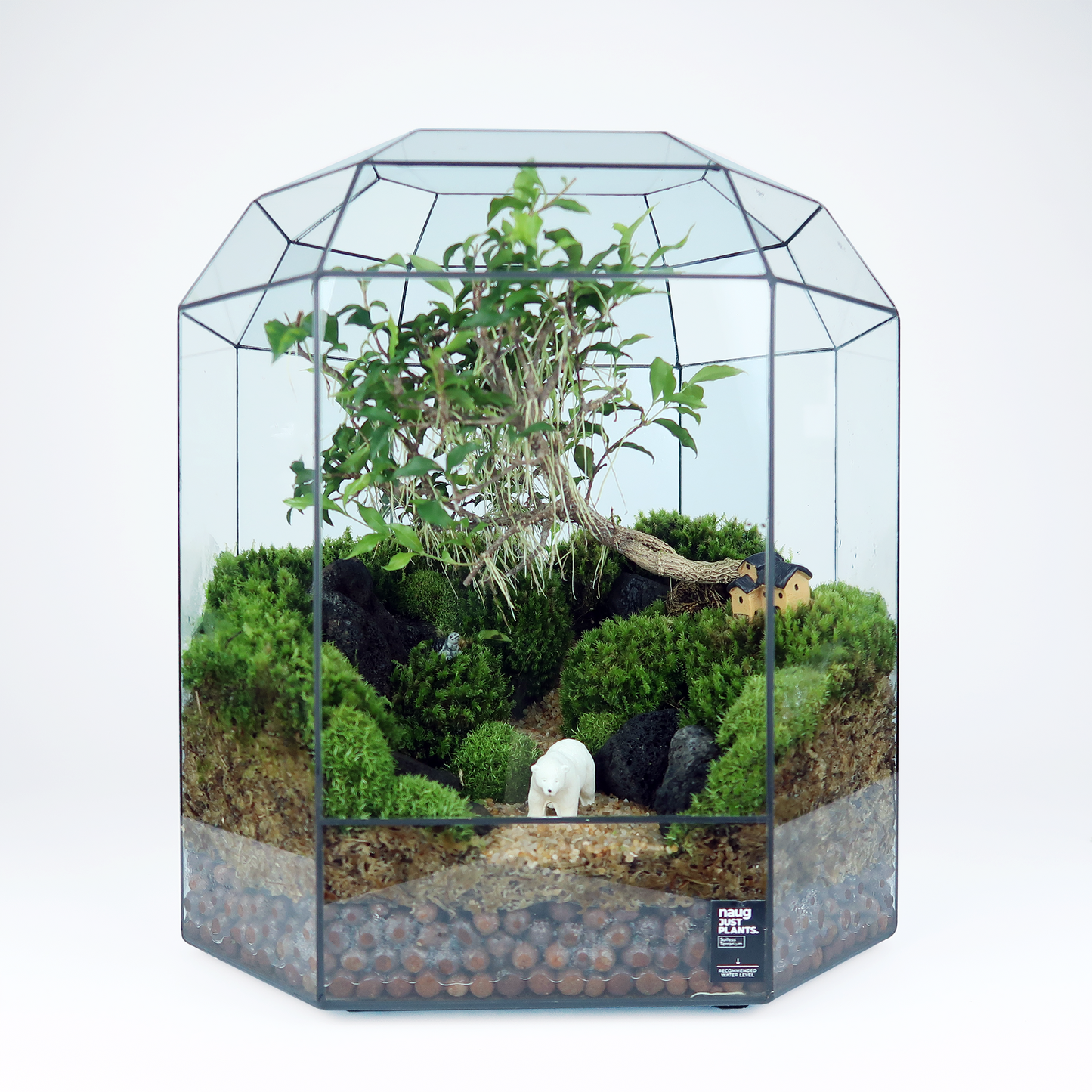 8 Side Terrarium Series