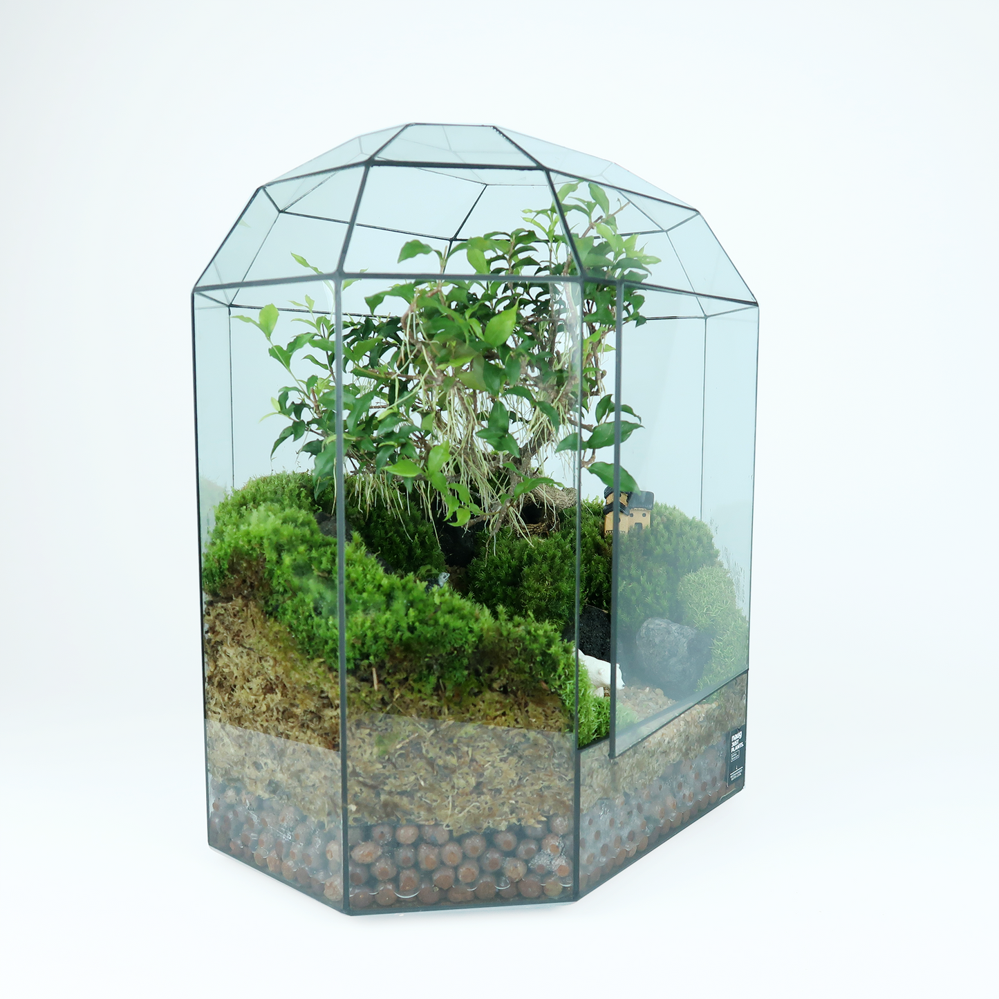 8 Side Terrarium Series
