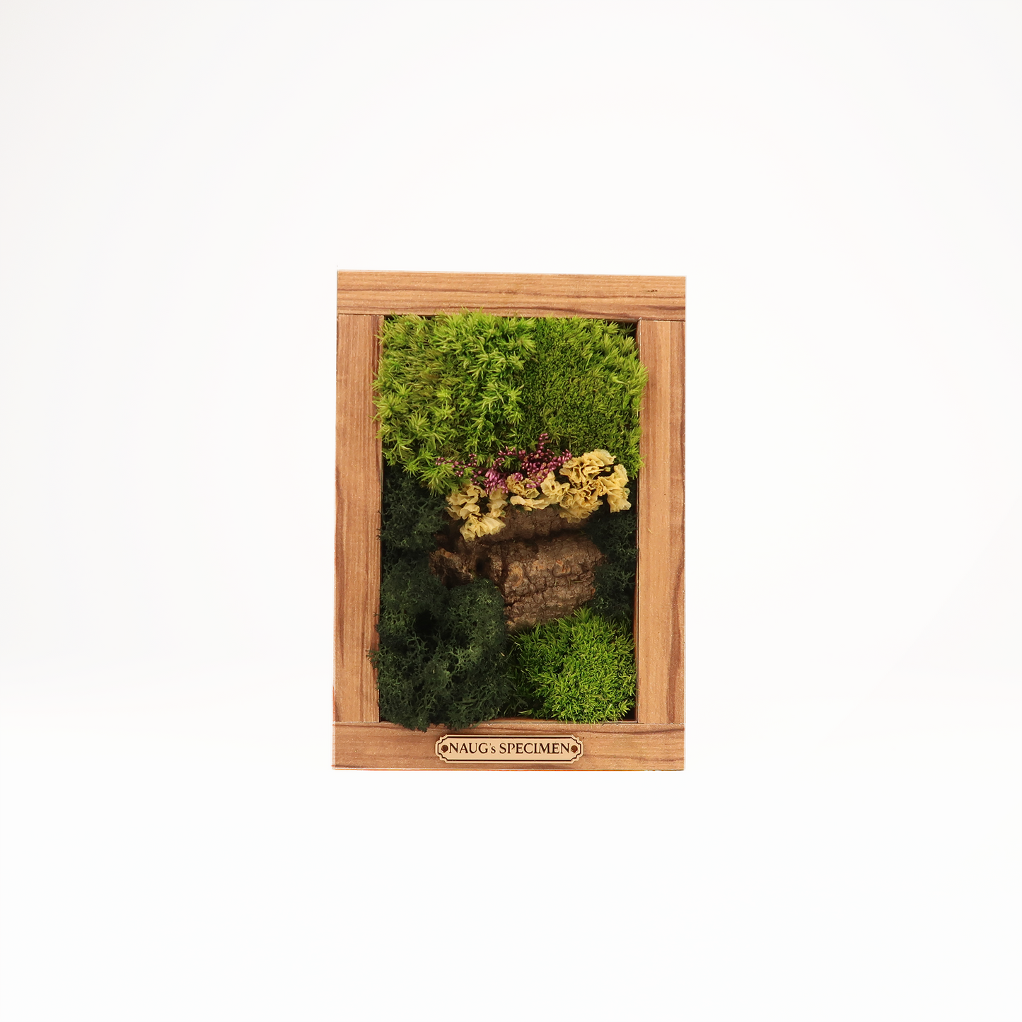 Preserved Moss Frame 180 with Cork Bark