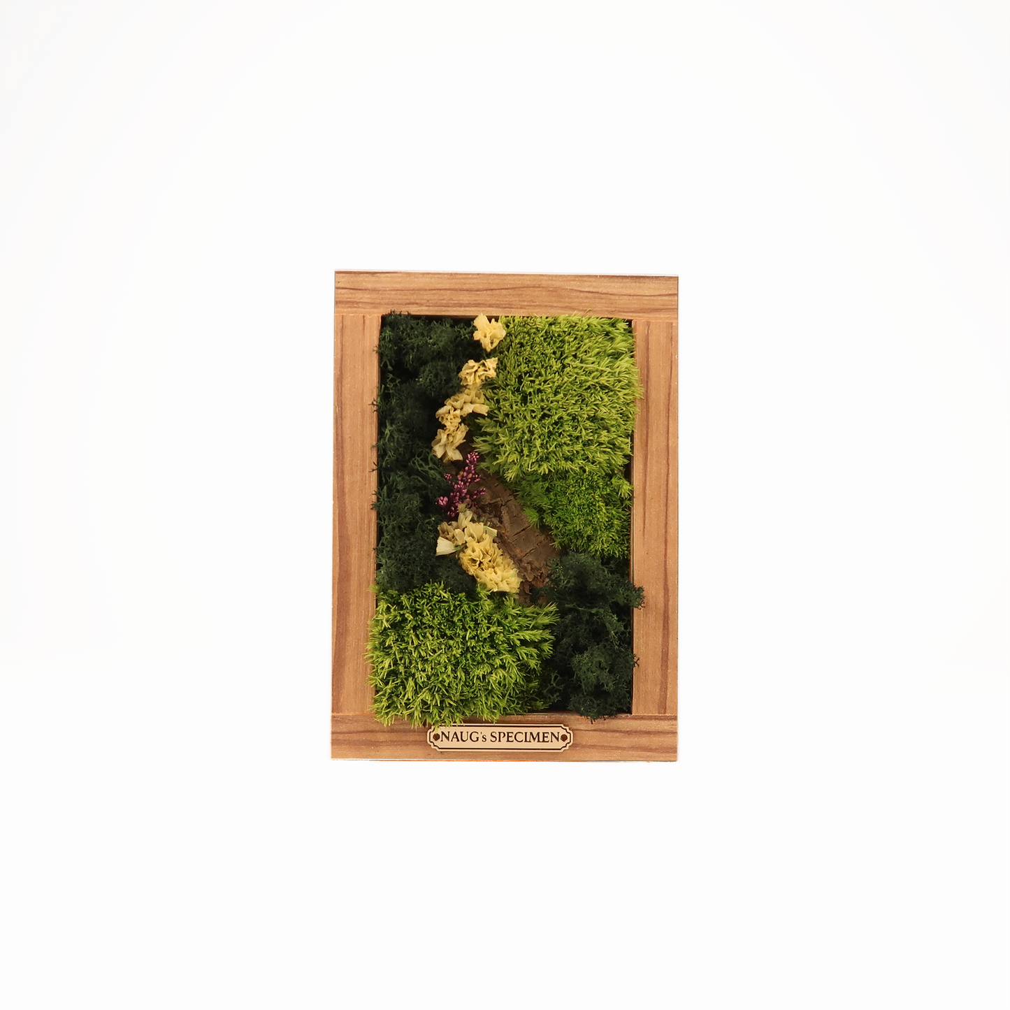 Preserved Moss Frame 180 with Cork Bark
