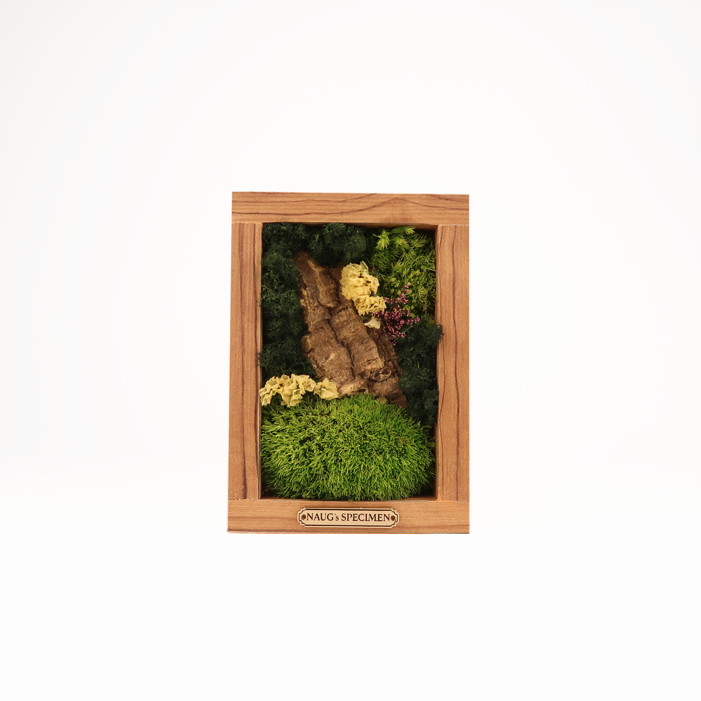 Preserved Moss Frame 180 with Cork Bark