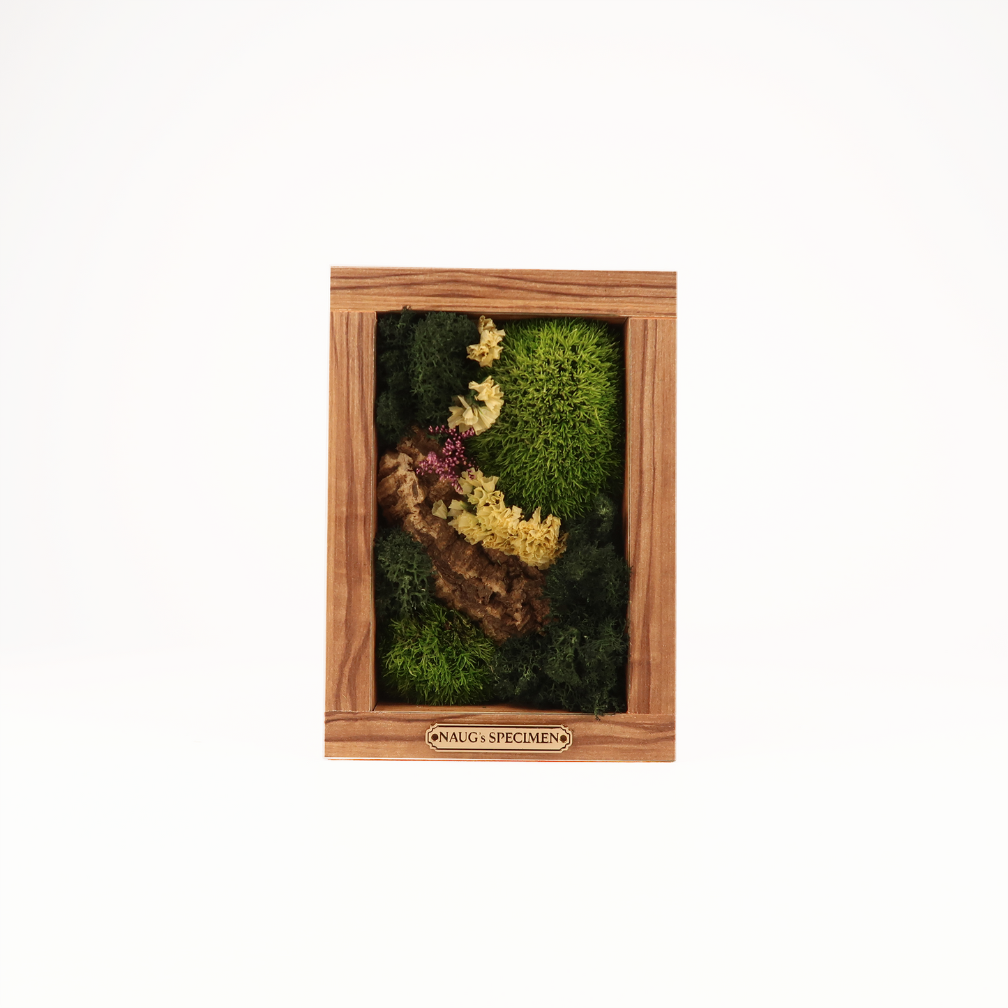 Preserved Moss Frame 180 with Cork Bark