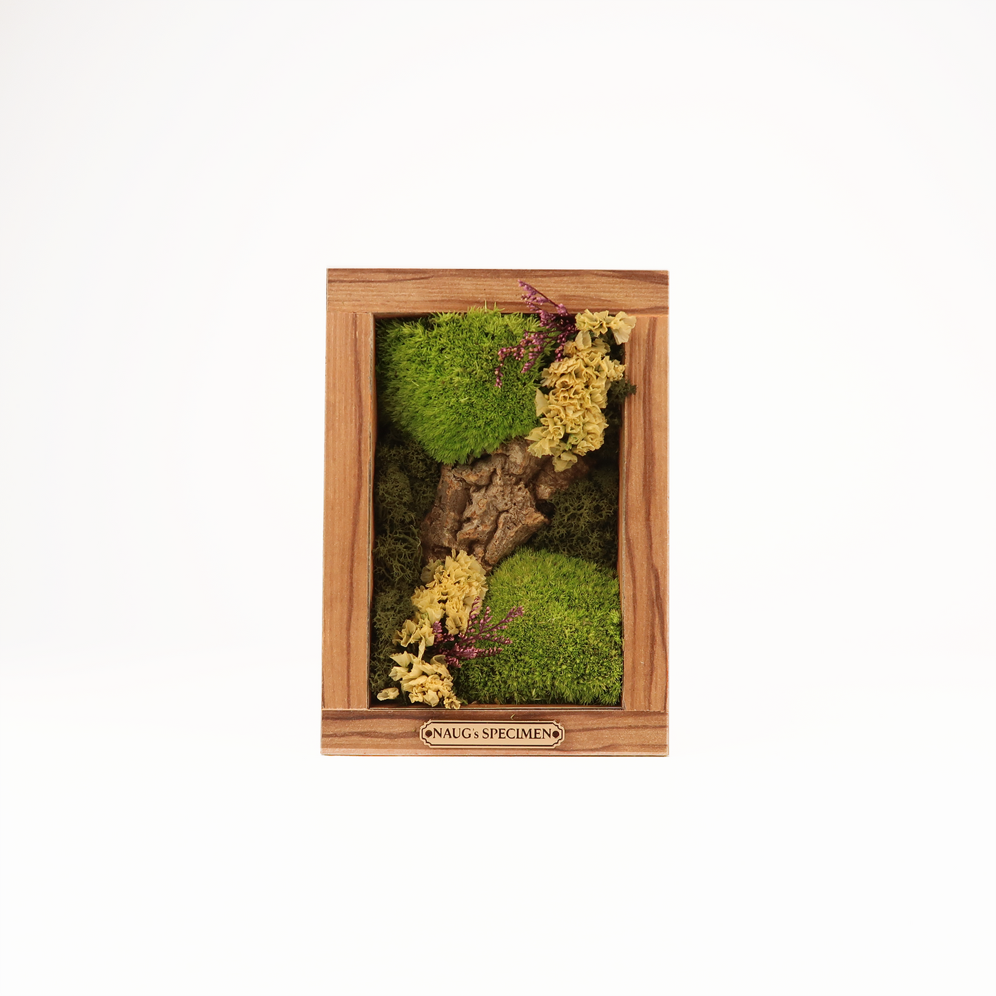 Preserved Moss Frame 180 with Cork Bark