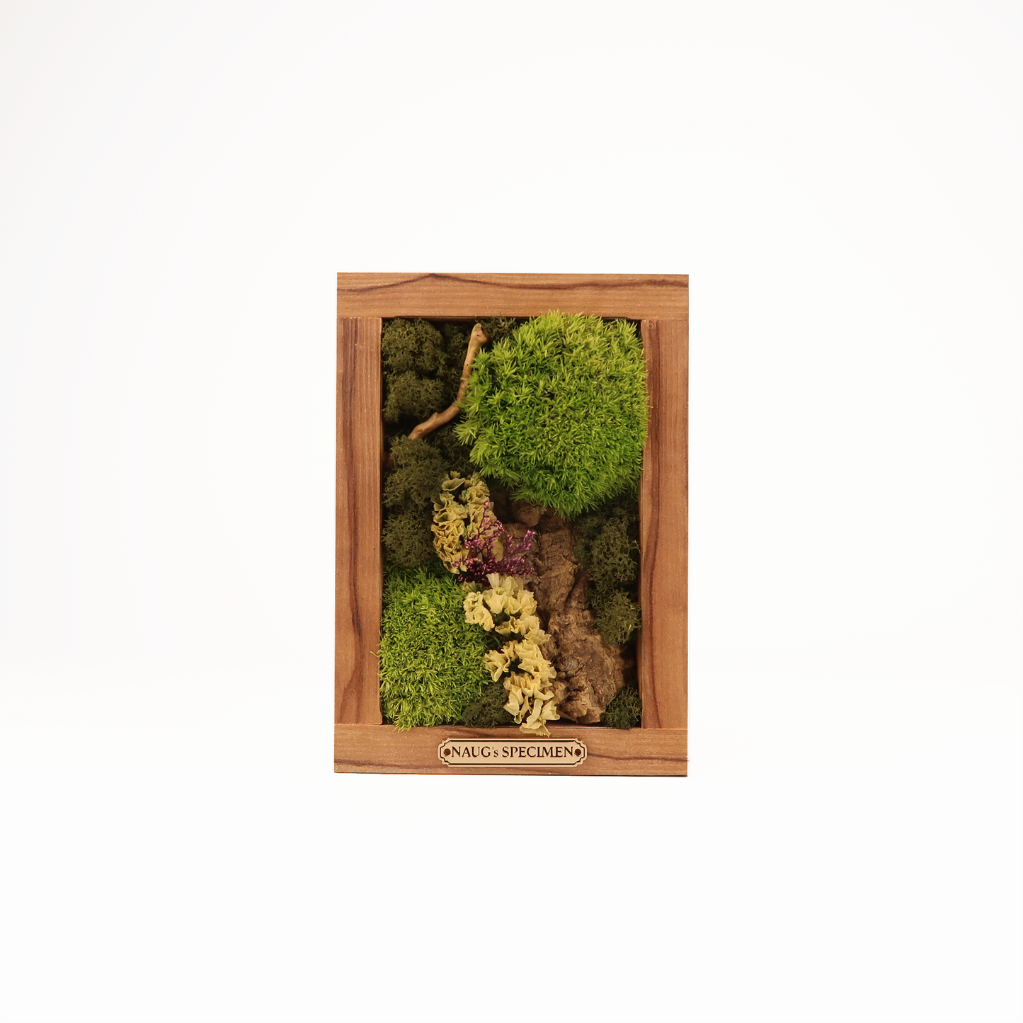 Preserved Moss Frame 180 with Cork Bark