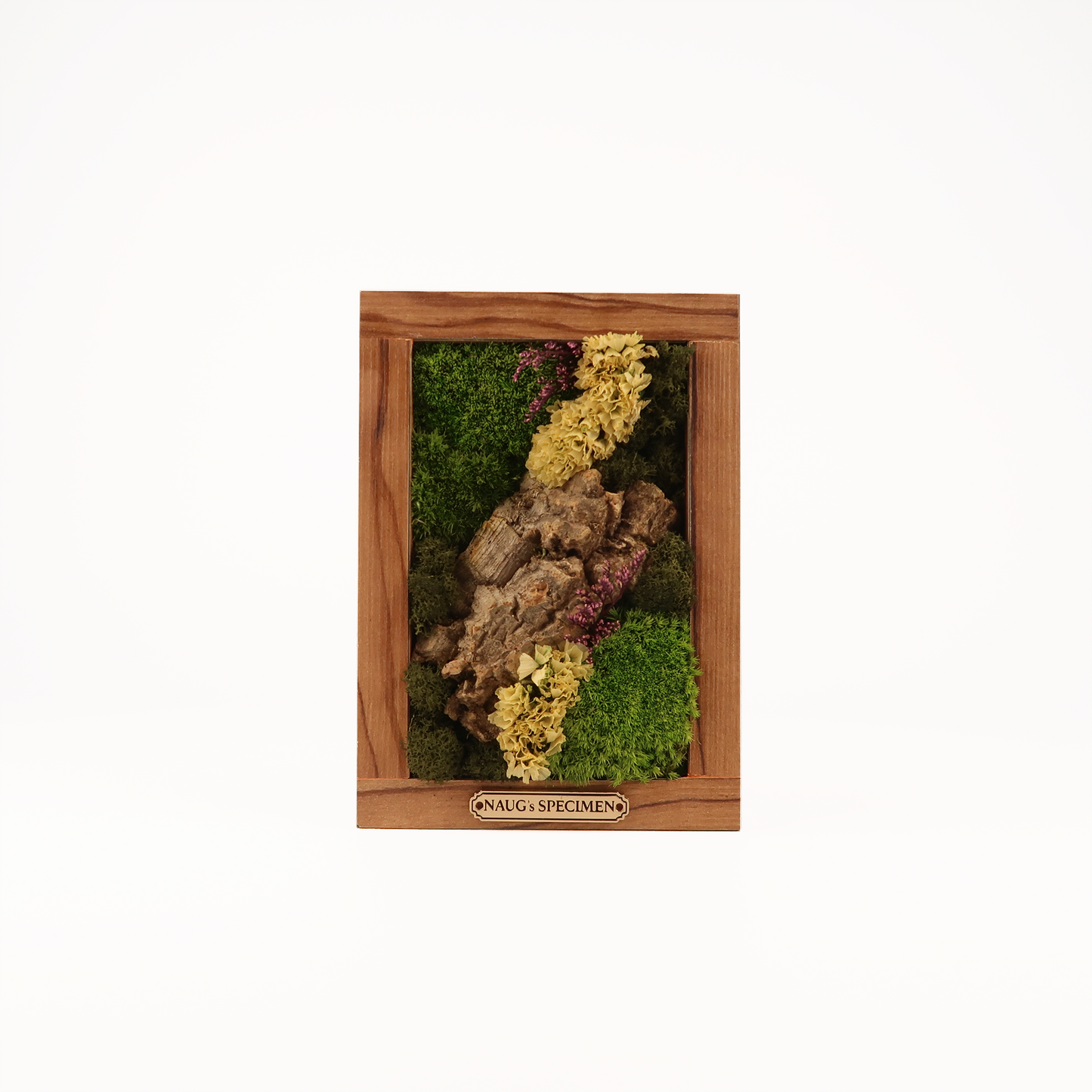Preserved Moss Frame 180 with Cork Bark