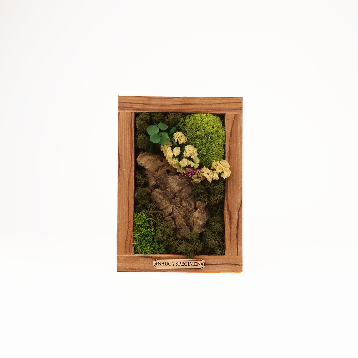 Preserved Moss Frame 180 with Cork Bark