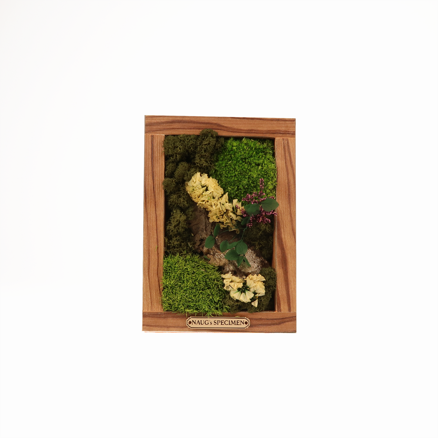 Preserved Moss Frame 180 with Cork Bark
