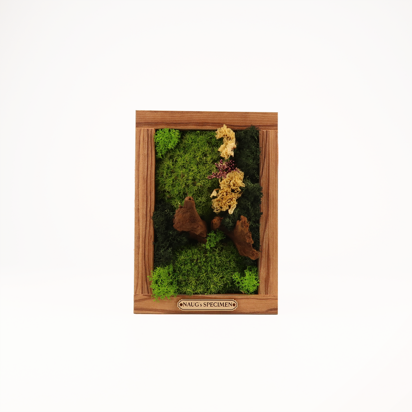 Preserved Moss Frame 180 with Driftwood
