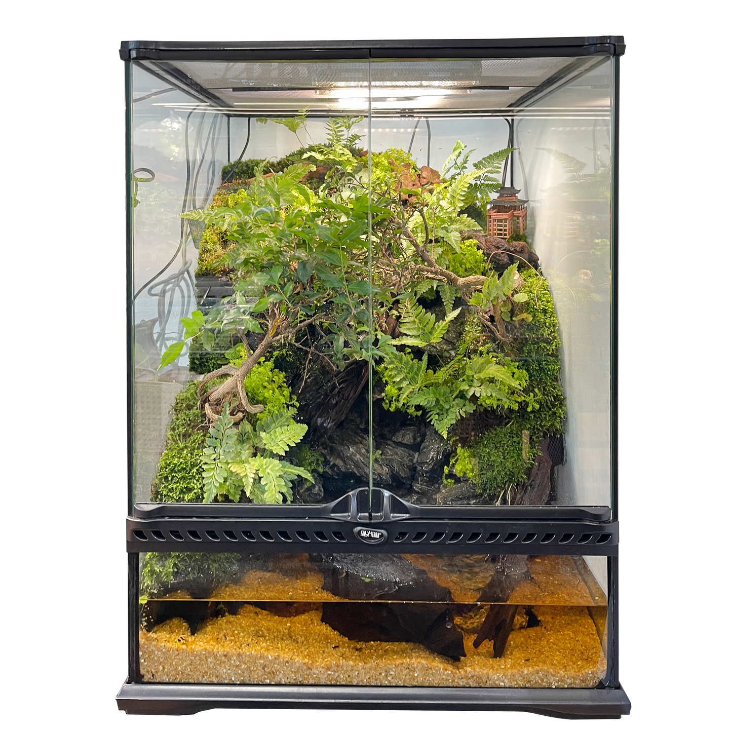Paludarium Series