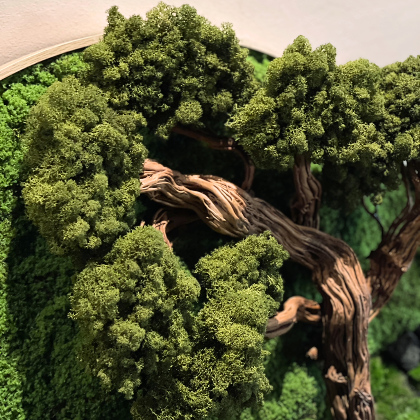 Bonsai Preserved Moss Frame 90CM