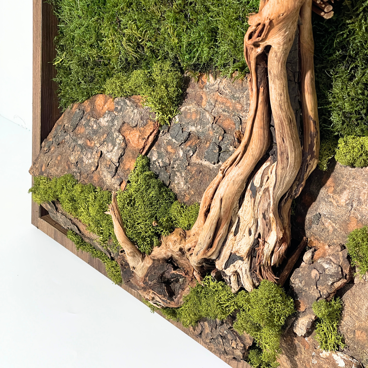 Preserved Moss Frame with 59.4CM x 84.1CM