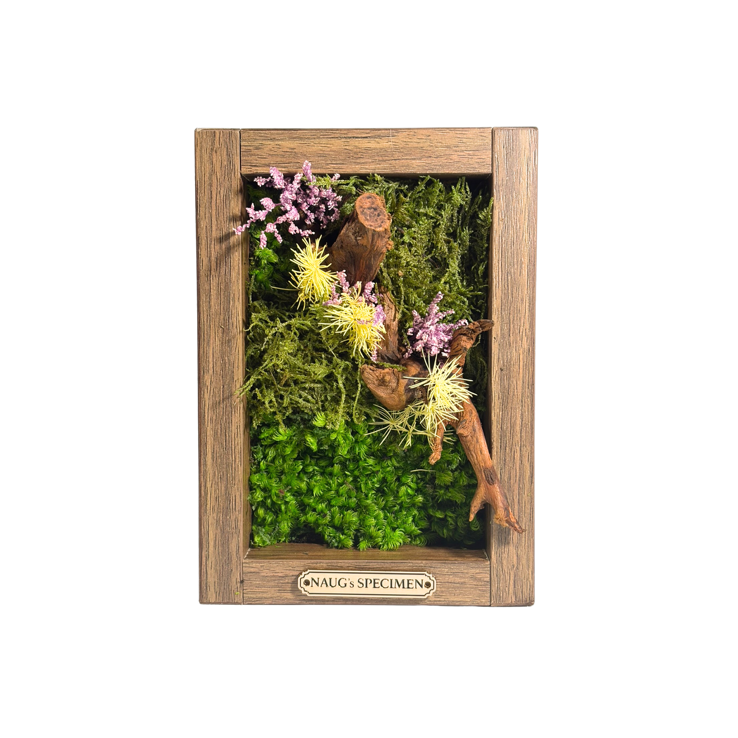 Preserved Moss Frame 180 with Driftwood