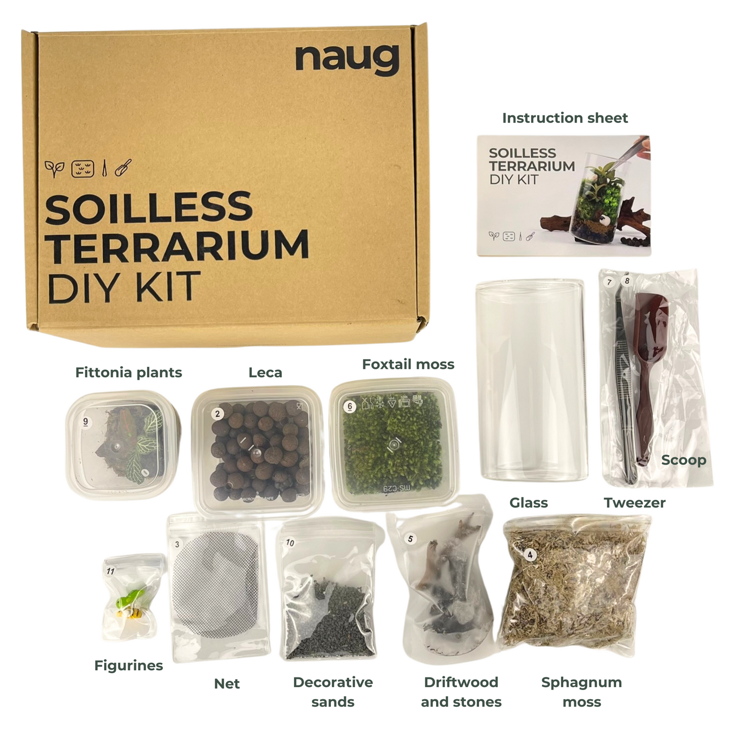 NAUG Soilless Terrarium DIY Kit