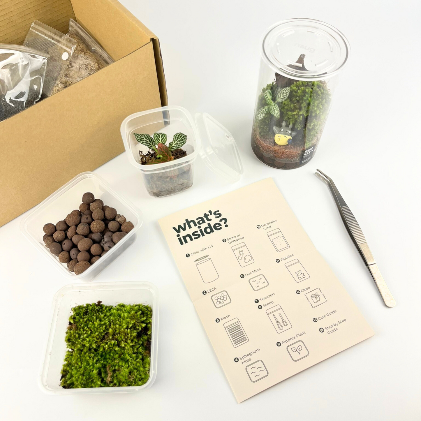 NAUG Soilless Terrarium DIY Kit