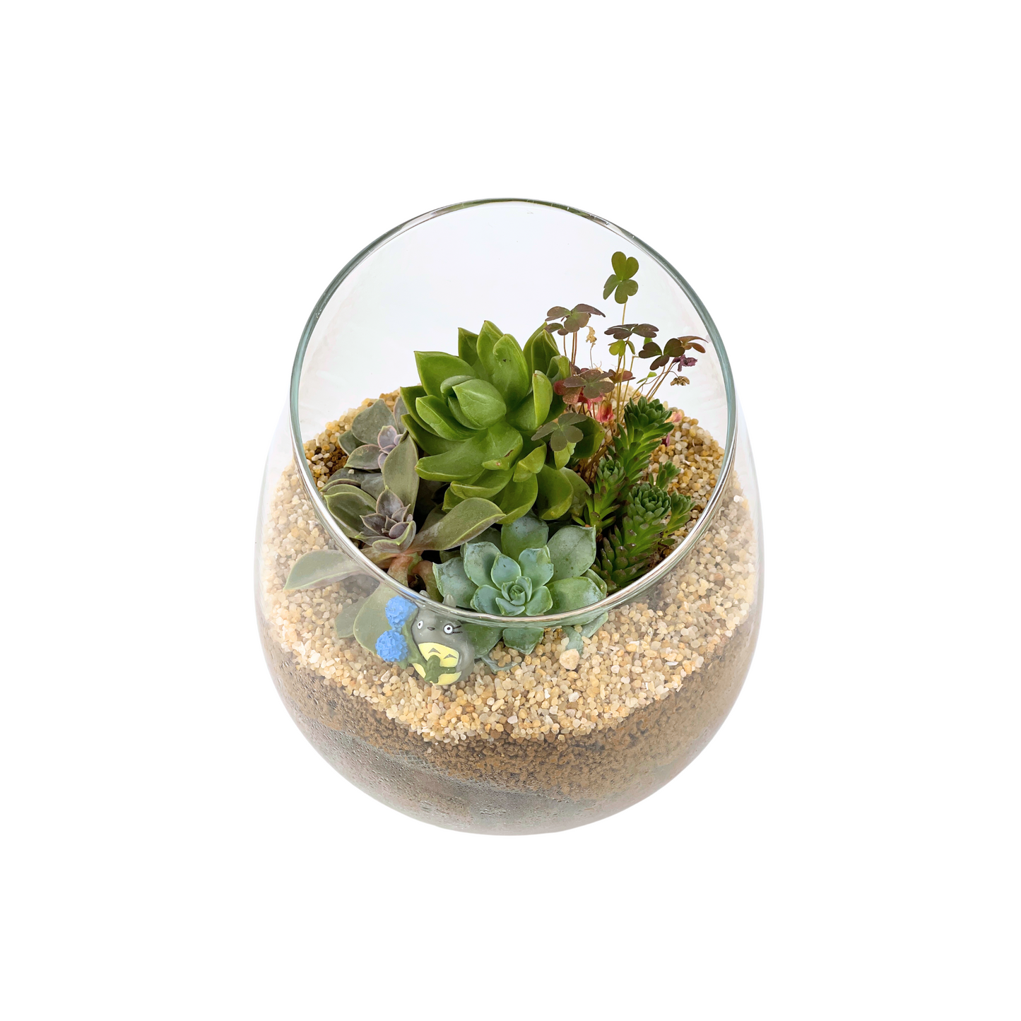 Succulent Terrarium Series