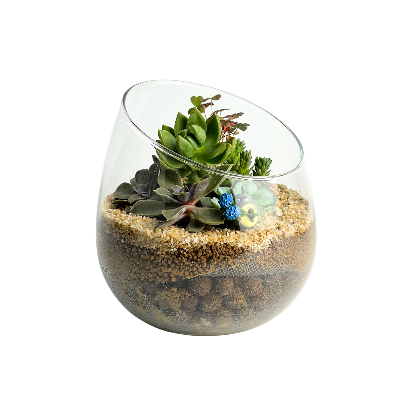 Succulent Terrarium Series