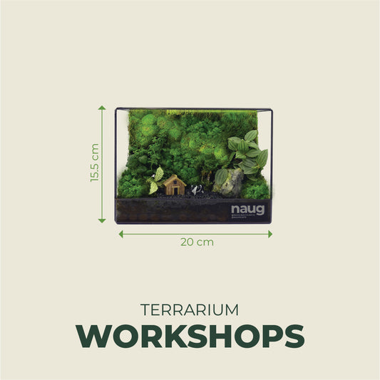 Green Wall Terrarium  20cm x 10cm x 15.5cm