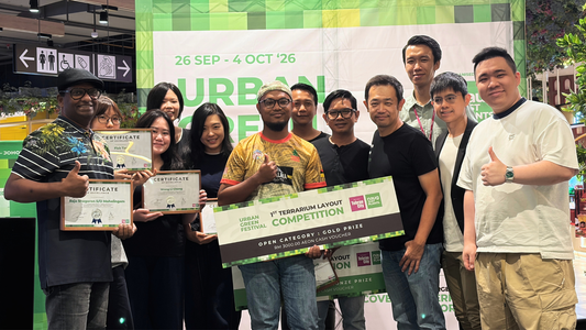 1ST terrarium Layout Competition Ranking - Open Category
