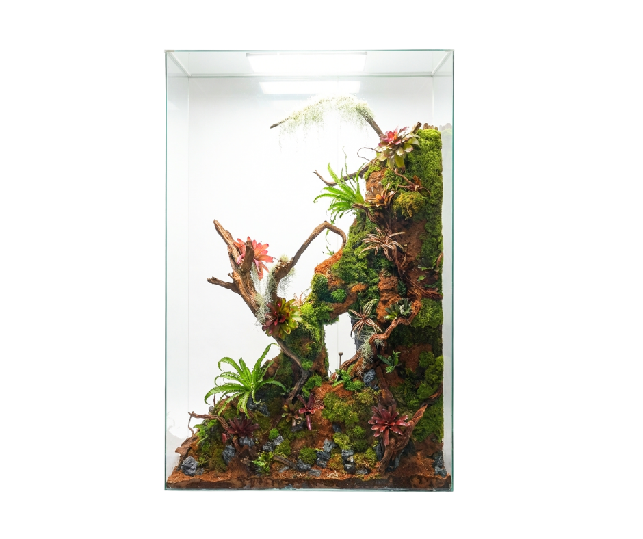 Our Biggest Build Yet - A Customized Vivarium Inspired by the Forest