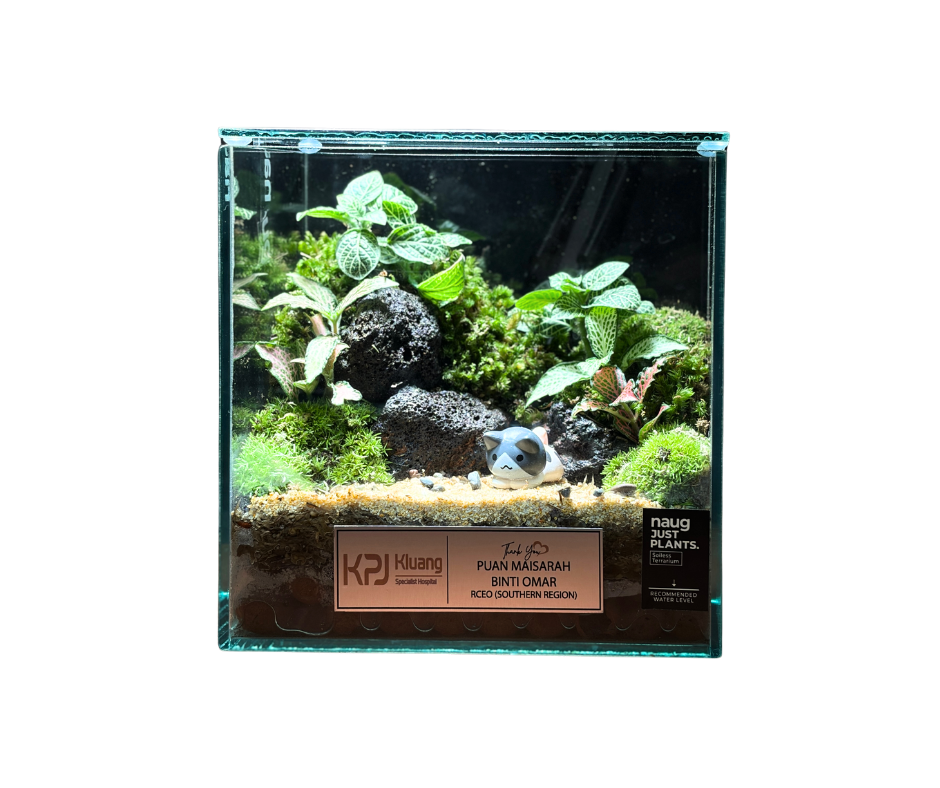 Corporate Gift Terrarium 42 Pax Doctors’ Day 2026 with KPJ Kluang