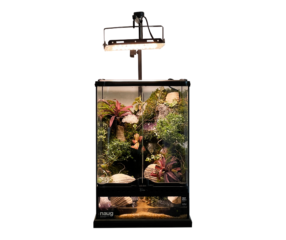 Crystal Paludarium