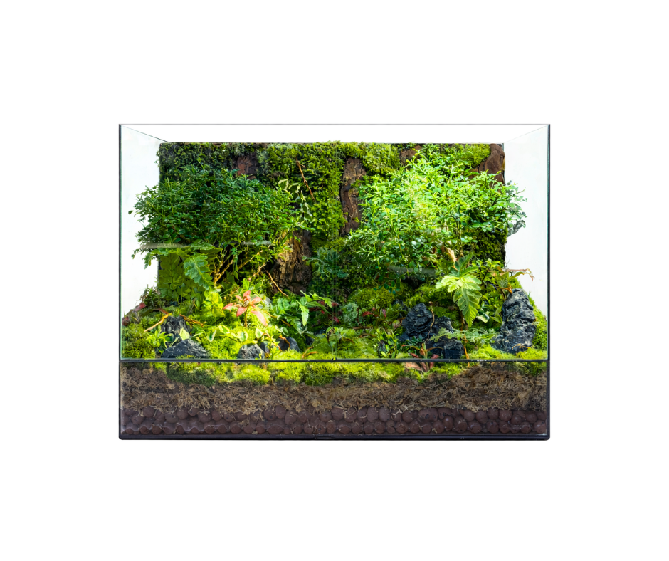 Mossy Forest Green Wall Terrarium