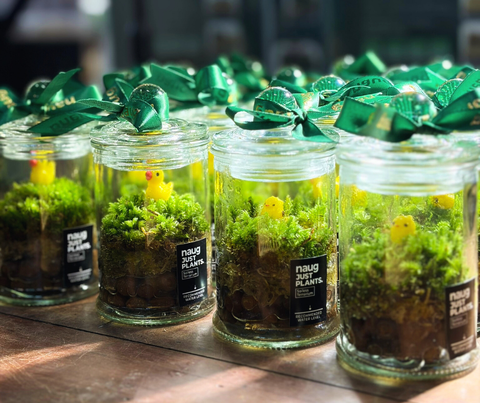 Customized Terrarium – The Perfect Gift for Any Occasion