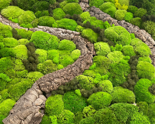Preserved Moss & Micro-Landscapes by Naug Just Plants