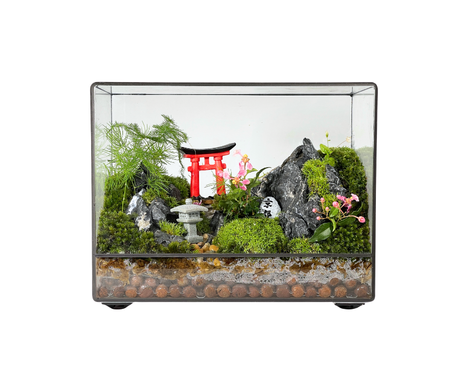 Internal Terrarium Competition x Naug Just Plants Anniversary Special 2025