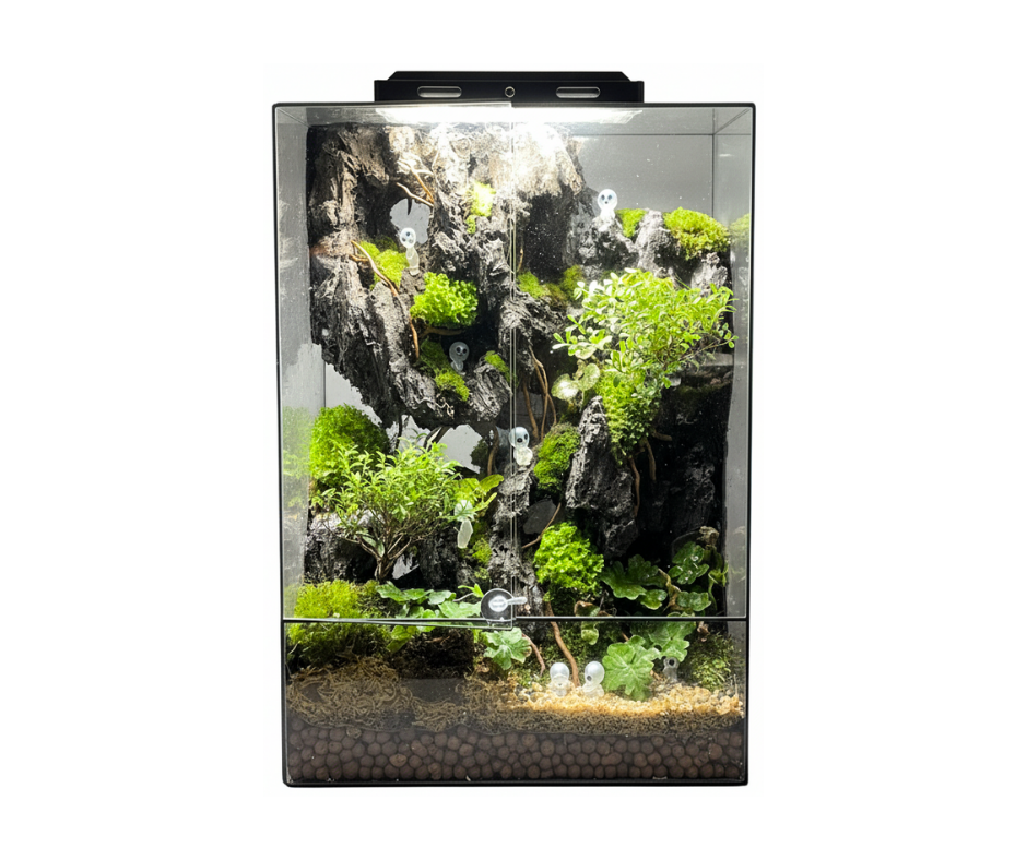 "Caves on Cliffs" Terrarium