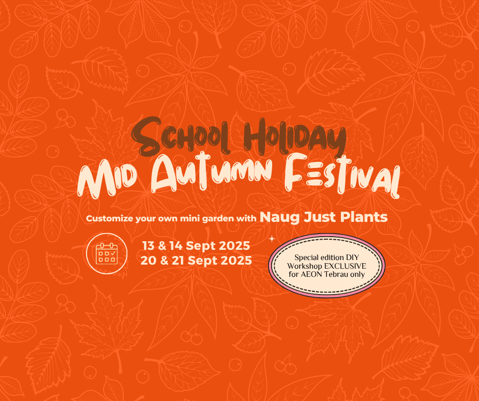 School Holiday Mid-Autumn Festival Terrarium Workshop