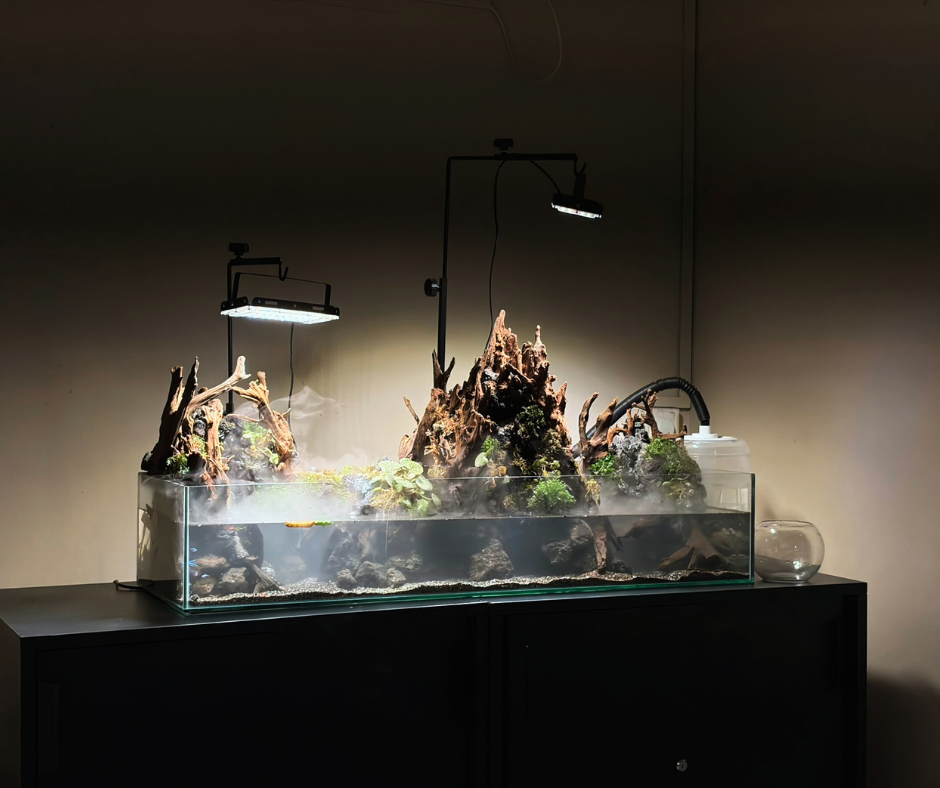 Paludarium Gallery in Naug Just Plants, Bandar JB