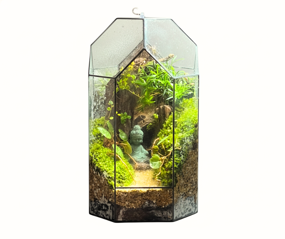 "Tranquil Cave Grove" Terrarium