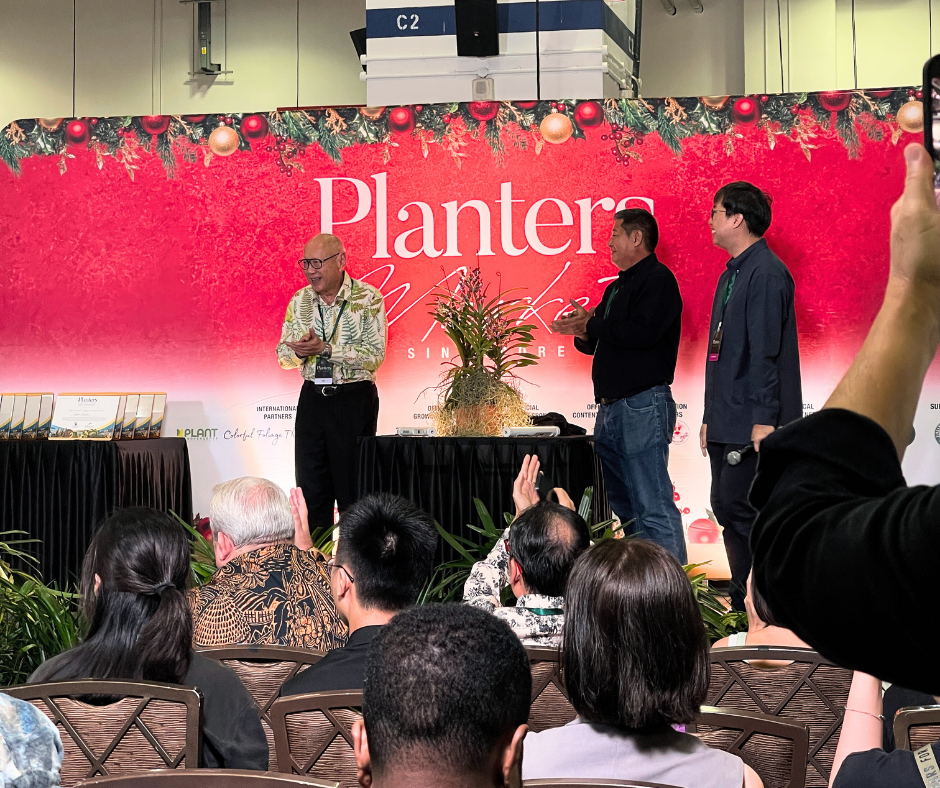 Planters Market Singapore – Christmas Edition Recap (12–14 Dec 2025)