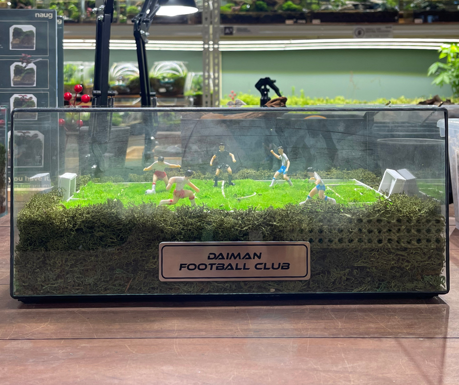 Preserved Moss for Daiman Football Club