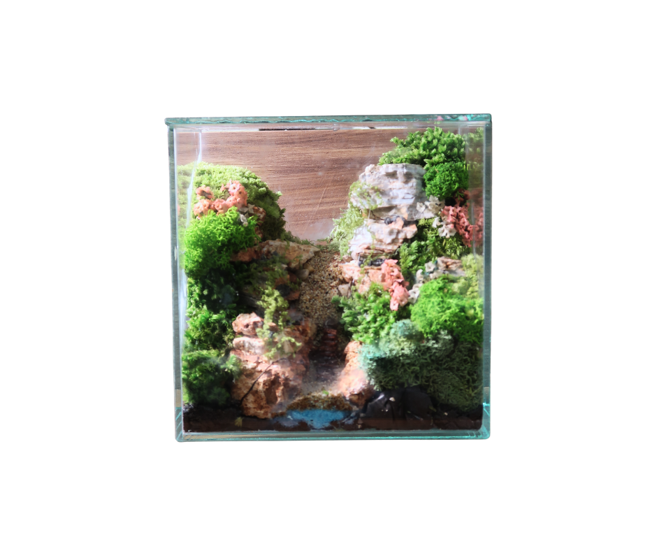 Our first customized Preserved Moss Terrarium