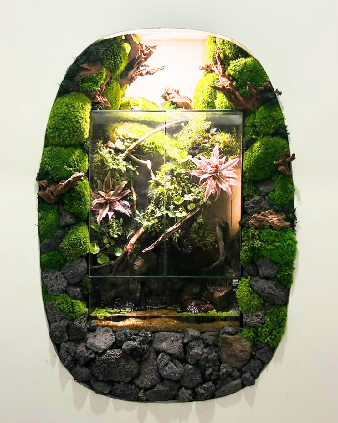 SG | Paludarium & Preserved Moss Installation
