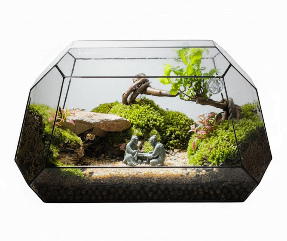 "A Zen Moment before the Stone Cave" Terrarium