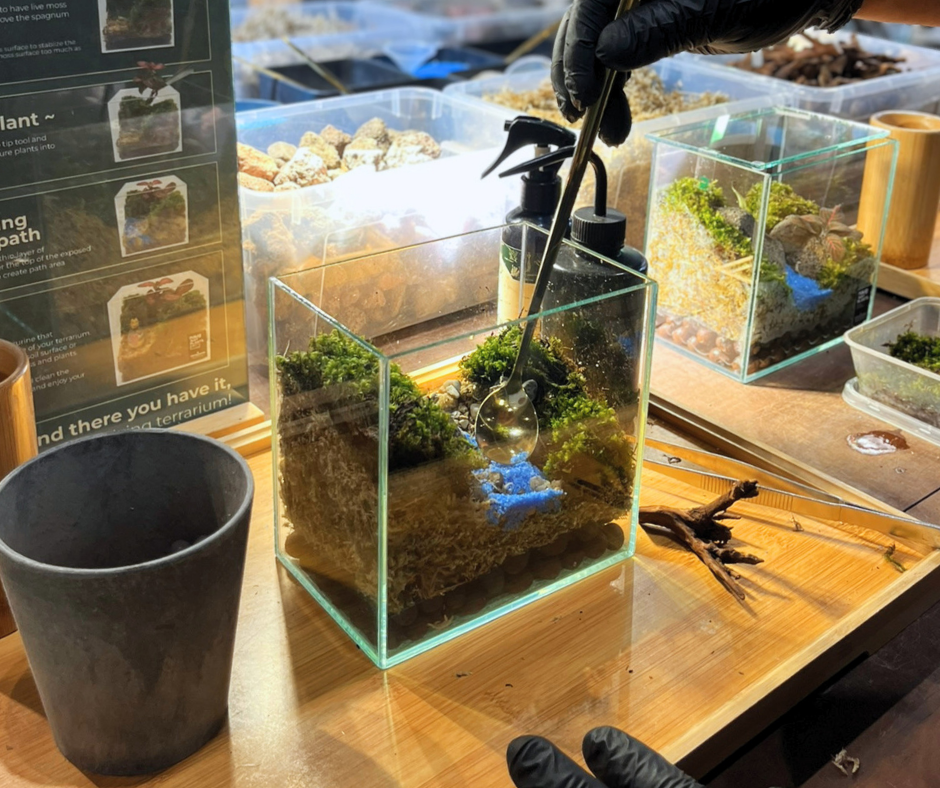 Terrarium Workshop 9 Pax Team Building Activity