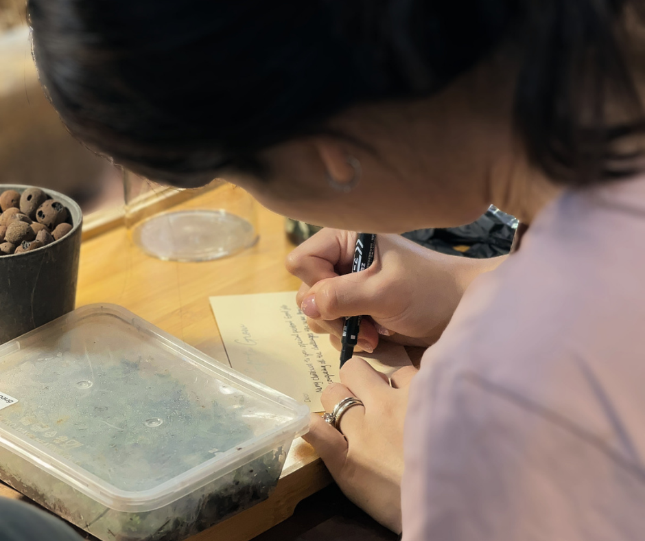 Terrarium Workshop 13 Pax Team Building Activity with Institute Mental Health