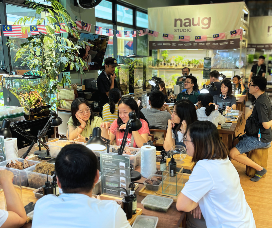 Terrarium Workshop Team Building Activity with Micron