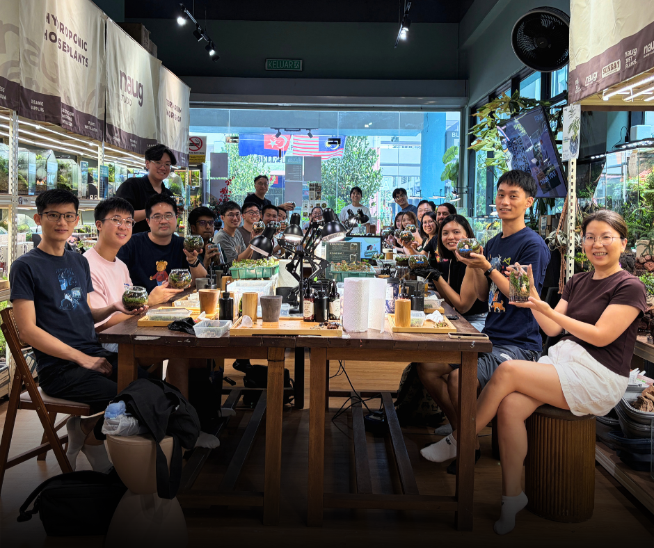 What happens when you bring your team to create terrarium together?
