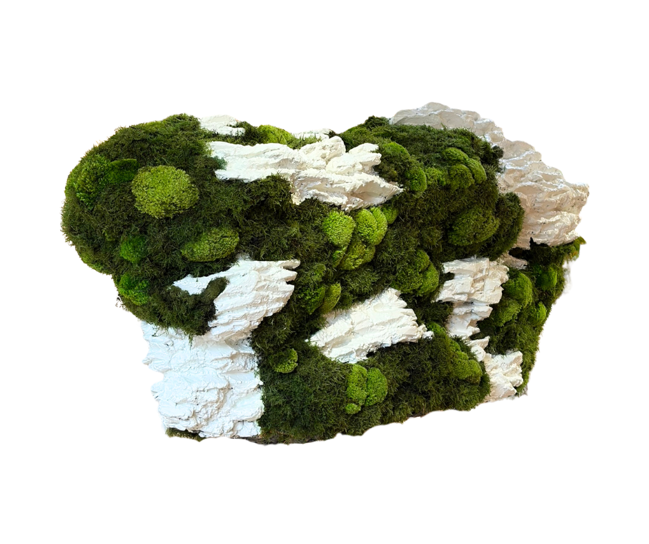 White Island Preserved Moss