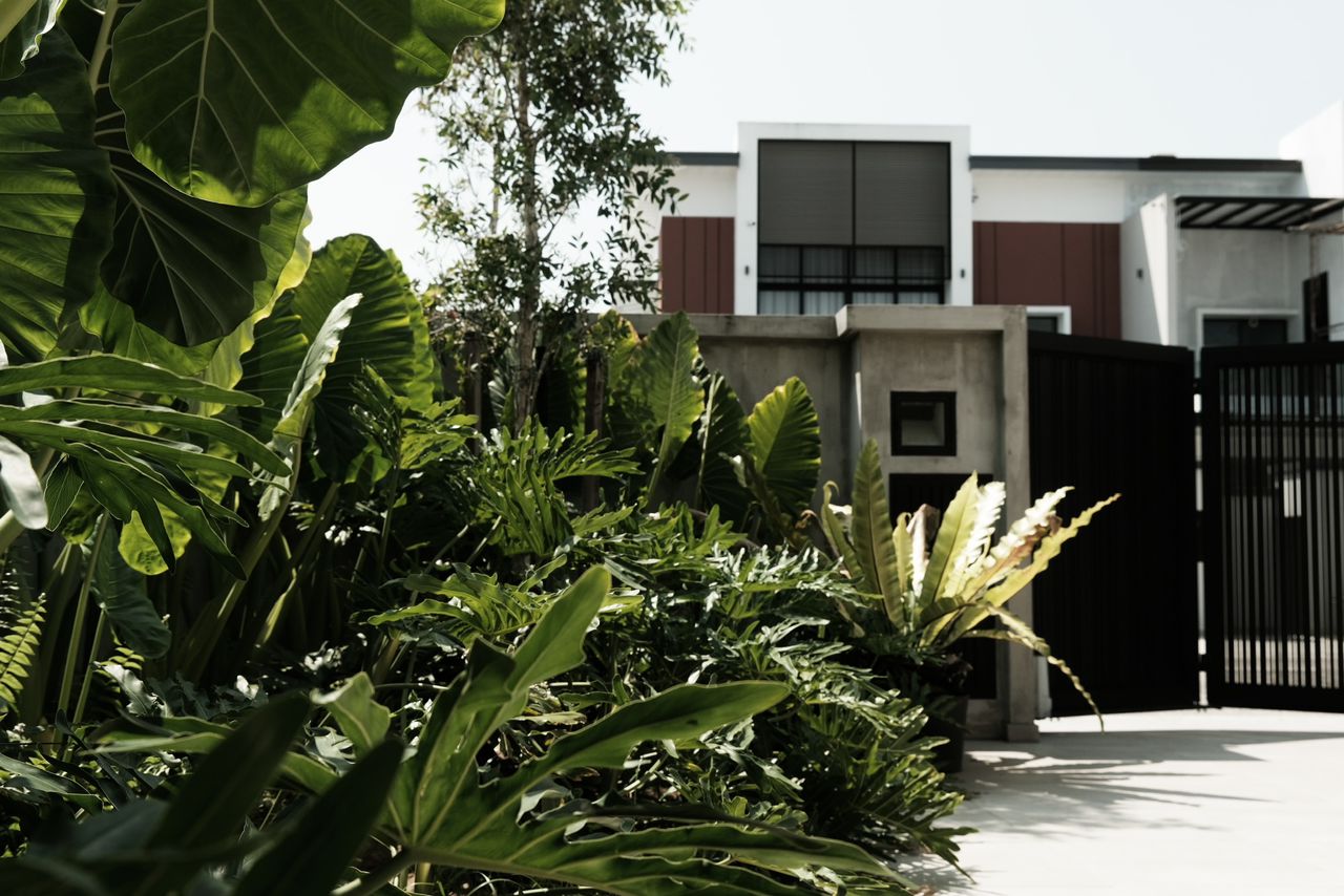 Jalan Sasa, Johor Bahru