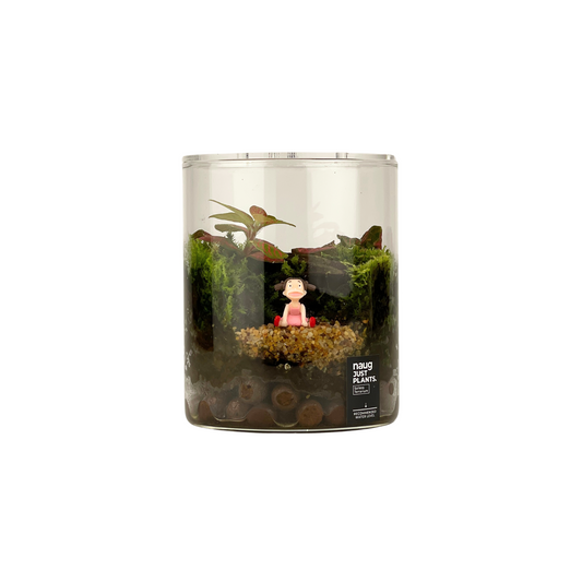 Terrarium Series